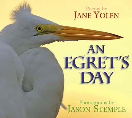 Egy kócsag napja - An Egret's Day