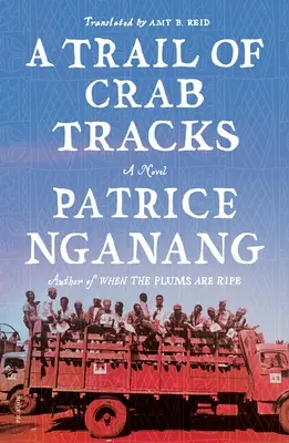 Ráknyomok nyomai - Trail of Crab Tracks