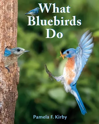 Mit csinálnak a kék madarak - What Bluebirds Do