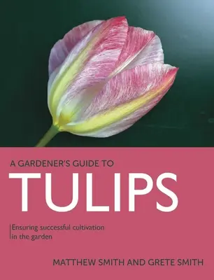 Tulipánok: A sikeres termesztés biztosítása a kertben - Tulips: Ensuring Successful Cultivation in the Garden