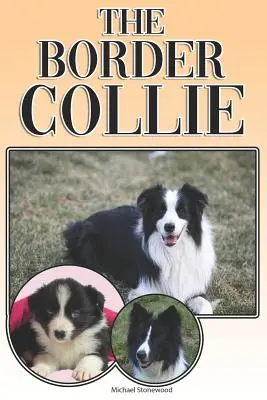 A Border Collie: Teljes és átfogó tulajdonosi útmutató: Vásárlás, birtoklás, egészség, ápolás, kiképzés, engedelmesség, megértés és - The Border Collie: A Complete and Comprehensive Owners Guide To: Buying, Owning, Health, Grooming, Training, Obedience, Understanding and