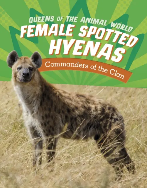 Nőstény foltos hiénák - A klán parancsnokai - Female Spotted Hyenas - Commanders of the Clan
