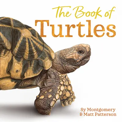 A teknősök könyve - The Book of Turtles