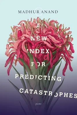 Új index a katasztrófák előrejelzéséhez - A New Index for Predicting Catastrophes