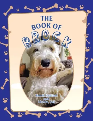 Brock könyve - The Book of Brock