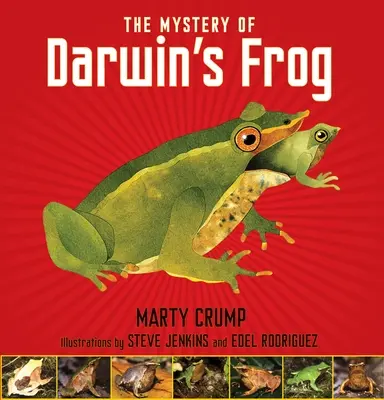 A darwini béka rejtélye - The Mystery of Darwin's Frog