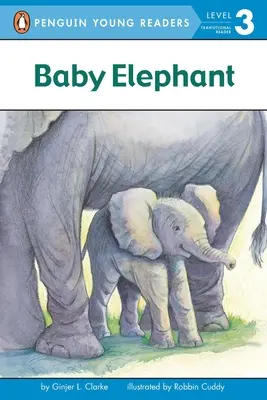 Baba elefánt - Baby Elephant