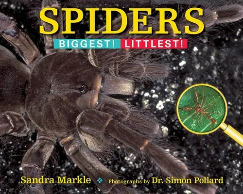 Pókok: Biggest! Littlest! - Spiders: Biggest! Littlest!