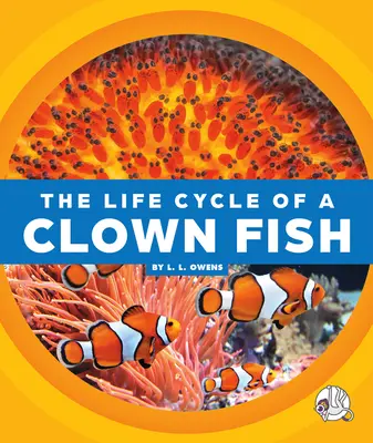 Egy bohóchal életciklusa - The Life Cycle of a Clown Fish