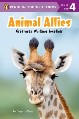 Állati szövetségesek: Együtt dolgozó élőlények - Animal Allies: Creatures Working Together