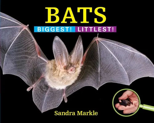 Denevérek: Legnagyobb! Legkisebb! - Bats: Biggest! Littlest!