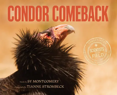 A kondor visszatérése - Condor Comeback