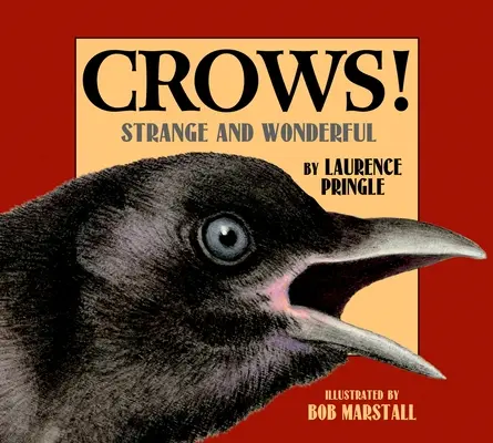 Varjak!: Furcsa és csodálatos - Crows!: Strange and Wonderful