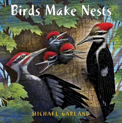 A madarak fészket raknak - Birds Make Nests