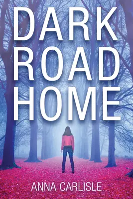 Dark Road Home - A Gin Sullivan Mystery (Sötét út hazafelé) - Dark Road Home - A Gin Sullivan Mystery