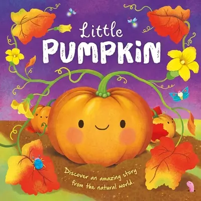 Természetmesék: Little Pumpkin: Párnázott táblás könyv - Nature Stories: Little Pumpkin: Padded Board Book