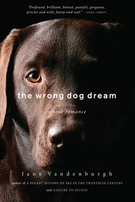 Téves kutyaálom - Egy igazi románc - Wrong Dog Dream - A True Romance