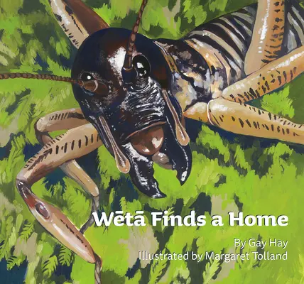 A Weta otthonra talál - Weta Finds a Home