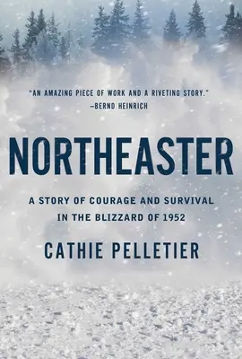 Northeaster: A bátorság és a túlélés története az 1952-es hóviharban - Northeaster: A Story of Courage and Survival in the Blizzard of 1952