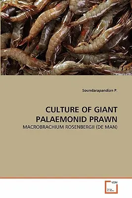 Az óriás palaemonida garnéla kultúrája - Culture of Giant Palaemonid Prawn
