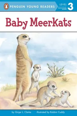 Baba földimalacok - Baby Meerkats