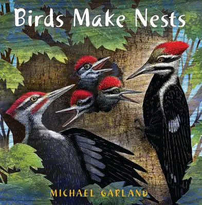 A madarak fészket raknak - Birds Make Nests