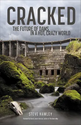 Cracked: A gátak jövője a forró, kaotikus világban - Cracked: The Future of Dams in a Hot, Chaotic World