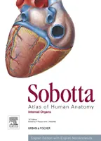 Sobotta Atlas of Human Anatomy, Vol. 2, 15. kiadás, angol - Internal Organs (Belső szervek) - Sobotta Atlas of Human Anatomy, Vol. 2, 15th ed., English - Internal Organs