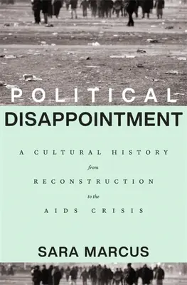 Politikai csalódás: Kultúrtörténet a rekonstrukciótól az AIDS-válságig - Political Disappointment: A Cultural History from Reconstruction to the AIDS Crisis