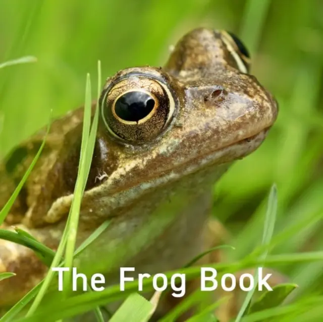 Béka könyv - Frog Book