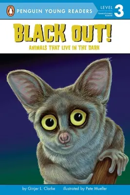 Black Out!: A sötétben élő állatok - Black Out!: Animals That Live in the Dark