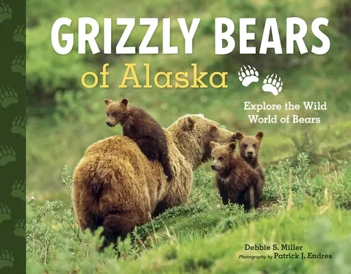 Grizzly Bears of Alaska: Fedezd fel a medvék vad világát - Grizzly Bears of Alaska: Explore the Wild World of Bears