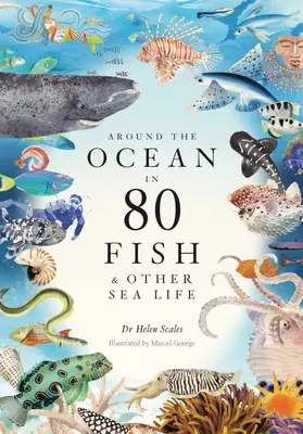 Az óceán körül 80 hal és más tengeri élőlény - Around the Ocean in 80 Fish and Other Sea Life