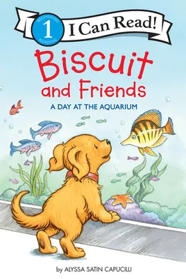 Biscuit and Friends: Egy nap az akváriumban - Biscuit and Friends: A Day at the Aquarium