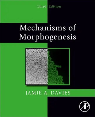 A morfogenezis mechanizmusai - Mechanisms of Morphogenesis