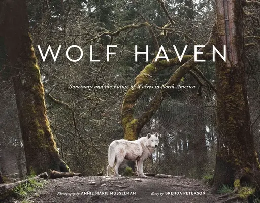 Wolf Haven: Menedék és a farkasok jövője Észak-Amerikában - Wolf Haven: Sanctuary and the Future of Wolves in North America