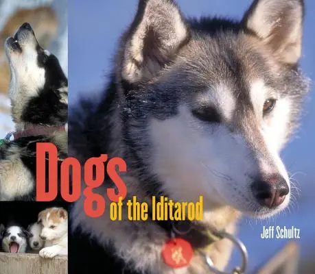 Az Iditarod kutyái - Dogs of the Iditarod