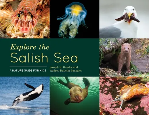 Fedezd fel a sós tengert! A Nature Guide for Kids - Explore the Salish Sea: A Nature Guide for Kids