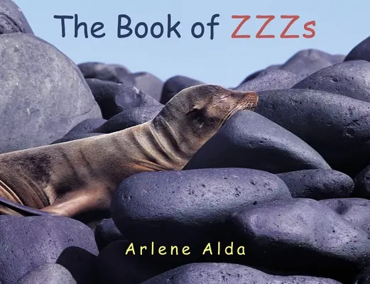 A ZZZ-ek könyve - The Book of ZZZs
