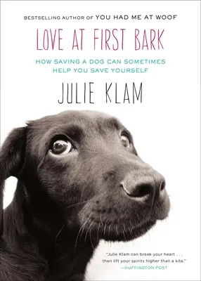 Szerelem első ugatásra: Hogyan segíthet néha megmenteni magadat, ha megmentesz egy kutyát? - Love at First Bark: How Saving a Dog Can Sometimes Help You Save Yourself