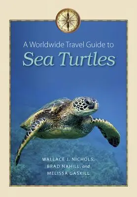 Világkörüli útikalauz a tengeri teknősökhöz - A Worldwide Travel Guide to Sea Turtles