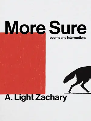 Biztosabb - More Sure