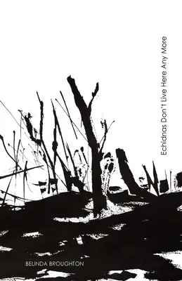 Echidnák már nem élnek itt: Versek a veszteségről és a felépülésről a Black Summer bozóttüzek óta - Echidnas Don't Live Here Any More: Poems of loss and recovery since the Black Summer bushfires