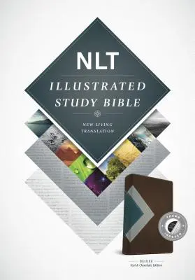 Illusztrált tanulmányi Biblia-NLT - Illustrated Study Bible-NLT