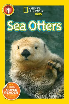 Tengeri vidrák - Sea Otters