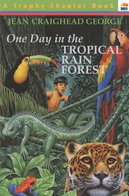 Egy nap a trópusi esőerdőben - One Day in the Tropical Rain Forest