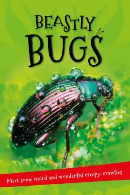 Mindenről szól ... Vadállati bogarak: Minden, amit tudni akarsz a kisállatokról egy csodálatos könyvben - It's All about . . . Beastly Bugs: Everything You Want to Know about Minibeasts in One Amazing Book