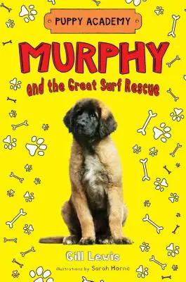 Murphy és a Nagy Szörfmentő - Murphy and the Great Surf Rescue