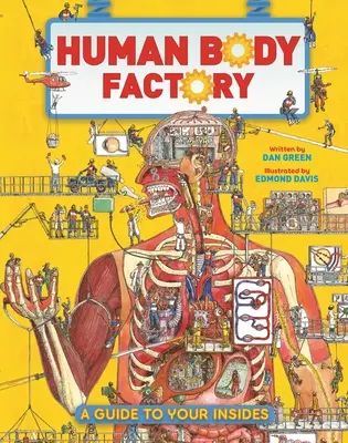 Az emberi test gyára: A Guide to Your Insides - The Human Body Factory: A Guide to Your Insides