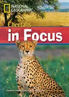 Cheetahs in Focus - Footprint Reading Library 2200